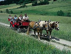 Ferien in Freyung-Grafenau, Bayerischer Wald